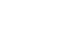 Logotipo_Neteris b1 tinta blanco