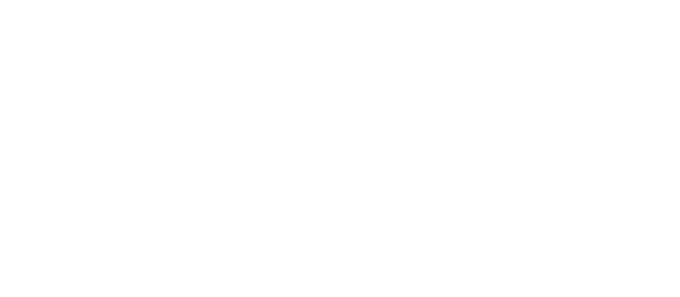 Logotipo_Neteris b1 tinta blanco