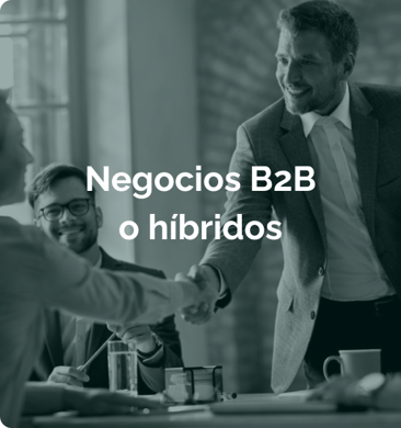 Negocios B2B o híbridos